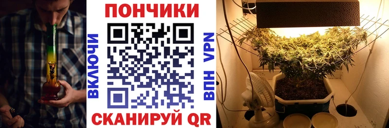 дарнет шоп  Новомичуринск  Бошки марихуана LSD WEED 